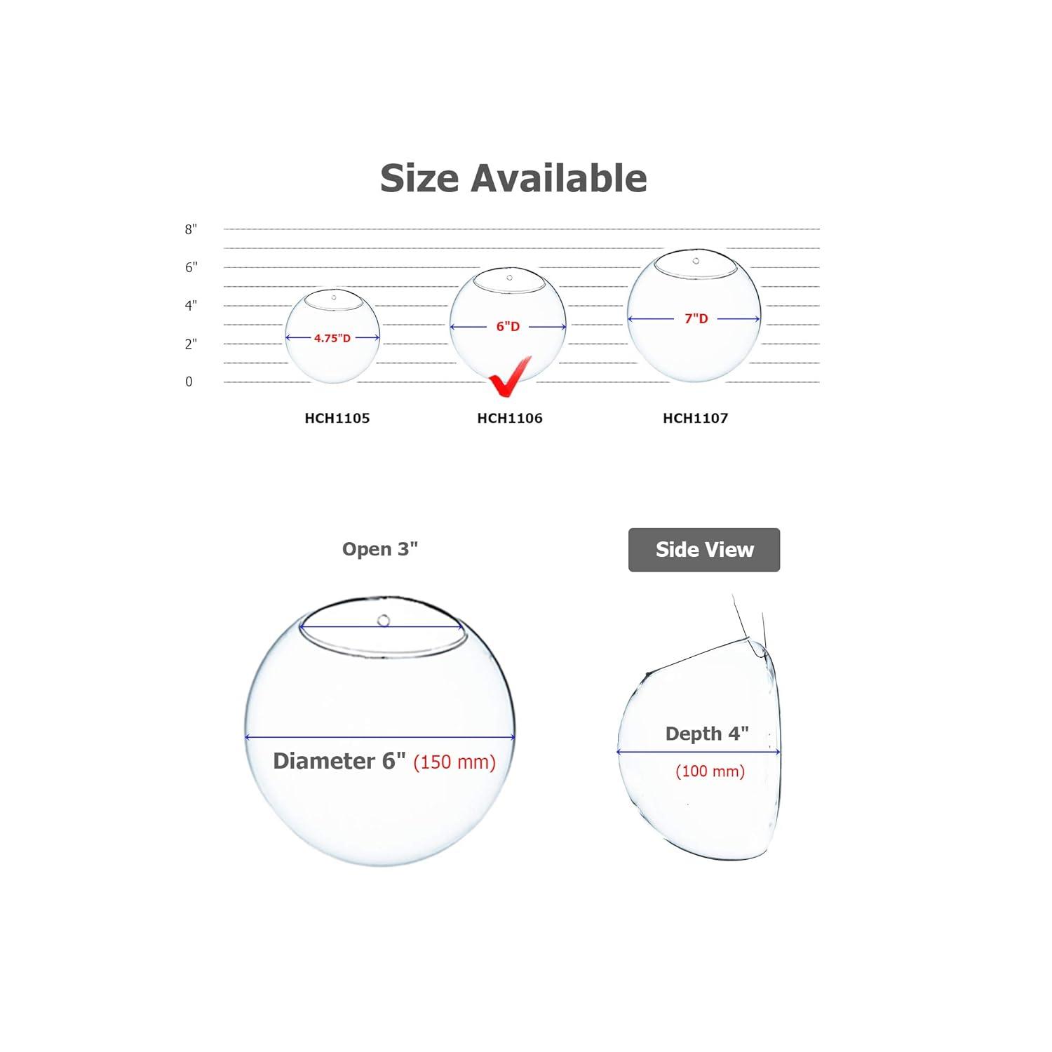 WGV Half Round Wall Hanging Terrarium - 6" Wide x 4" Depth, Good quality, Heavy Weighted Base - 1 Pc