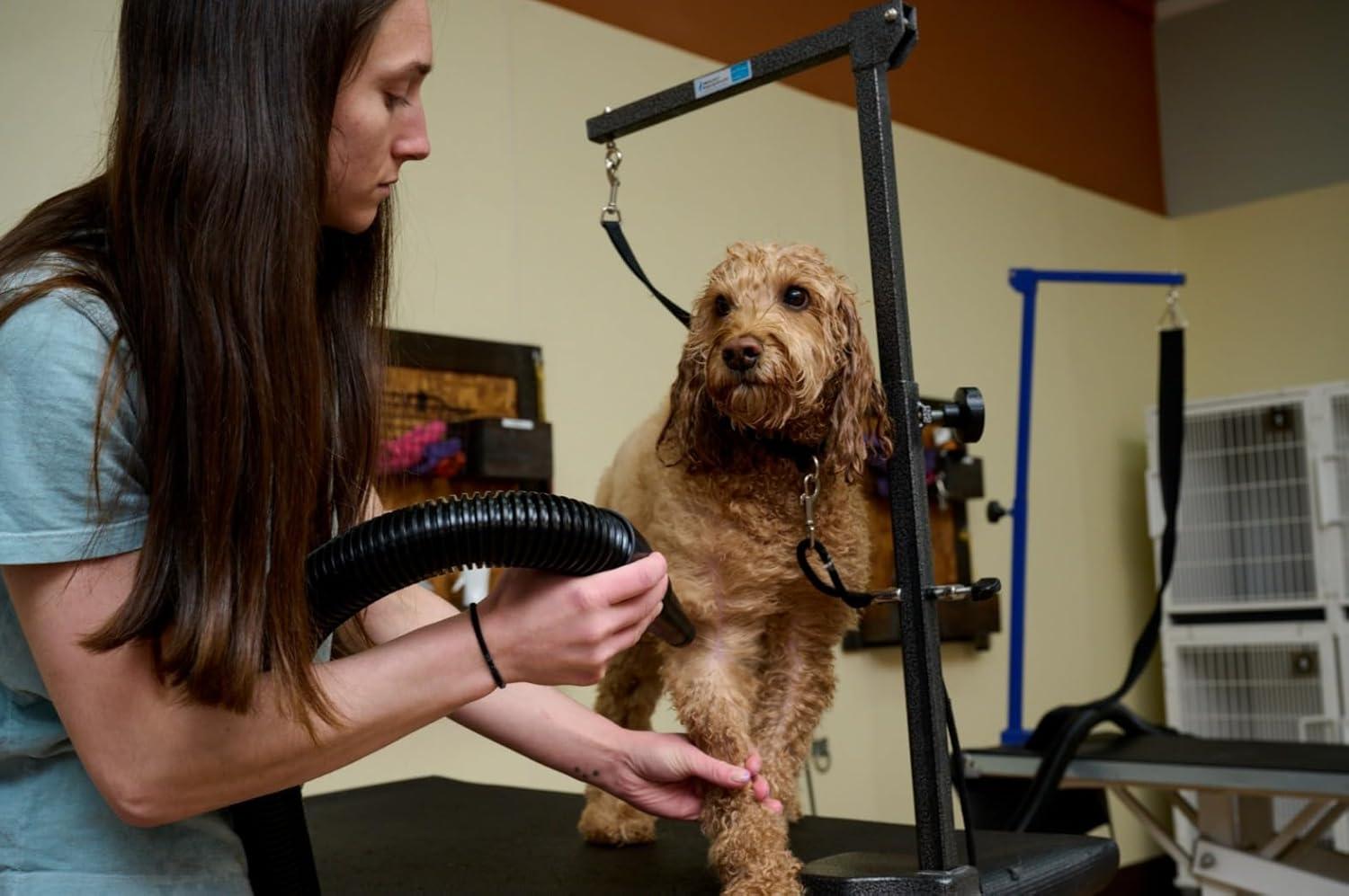 Black Steel Air Force Master Blaster Pet Dryer with Hose