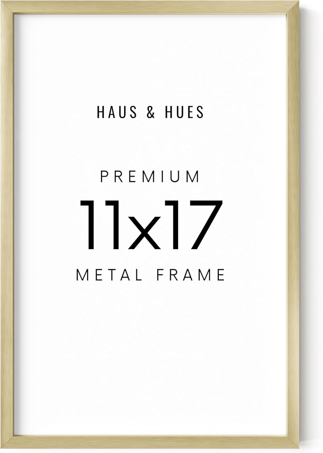 Haus and Hues Aluminum Frame (Set Of 1) Metal Picture Frame