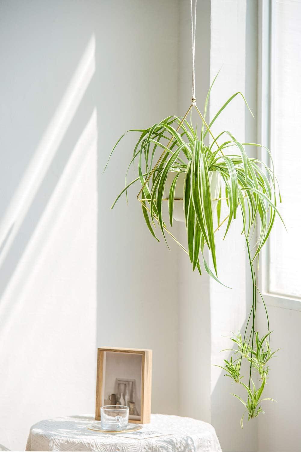 Gold Metal Hanging Planter Set with White Plastic Pots