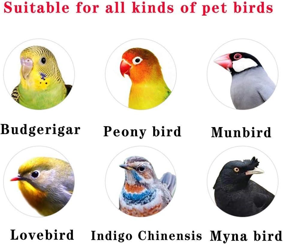 Flight cage for Parakeets Decorative Bird Cages Home Decor,Affordable Retro Golden Bird Cage, Elegant Decoration Parrot Cage, Dove Pearl Bird Canary Cage, Luxury Package (Color : Gold a)