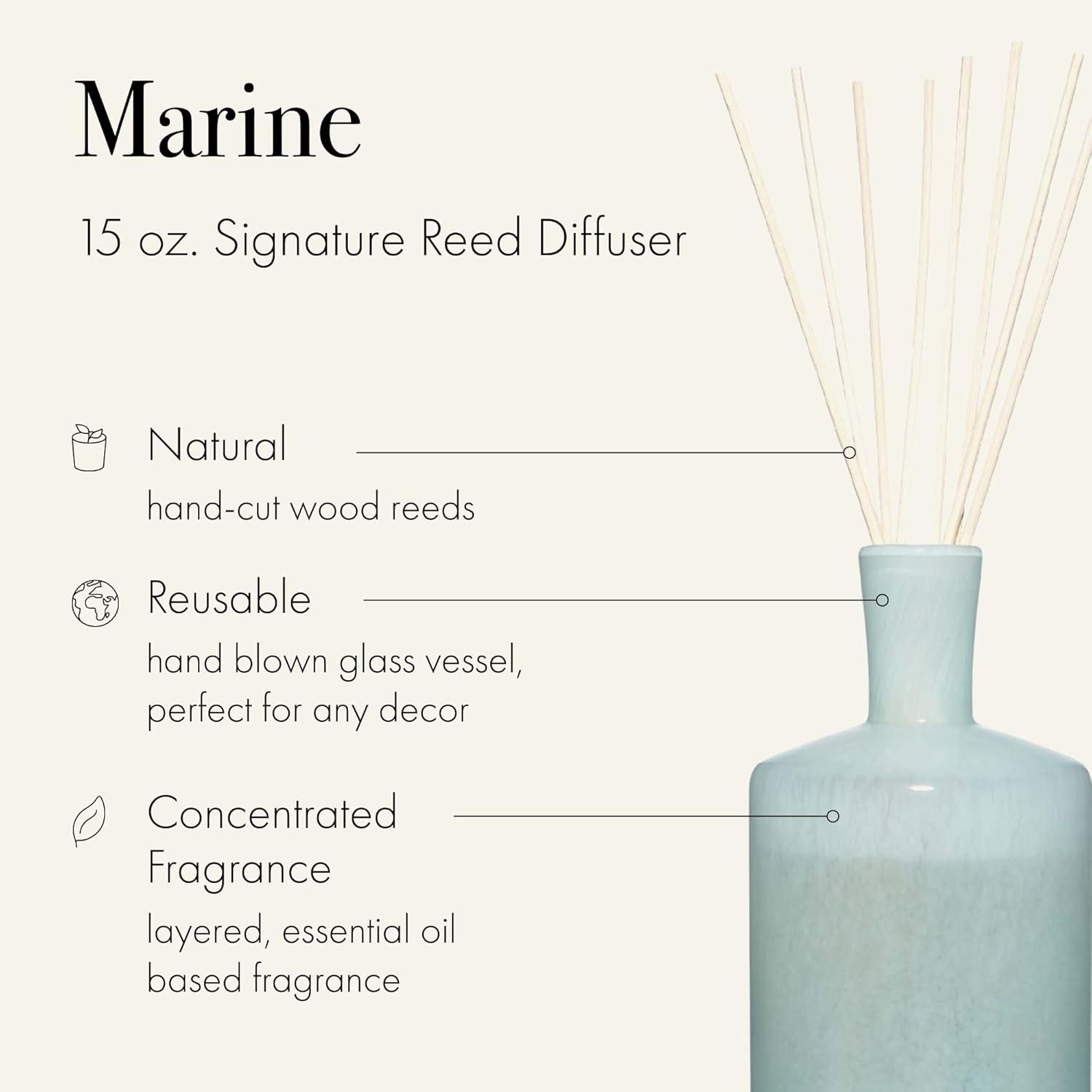Marine Essence Fresh Aquatic Reed Diffuser in Hand Blown Glass Vessel