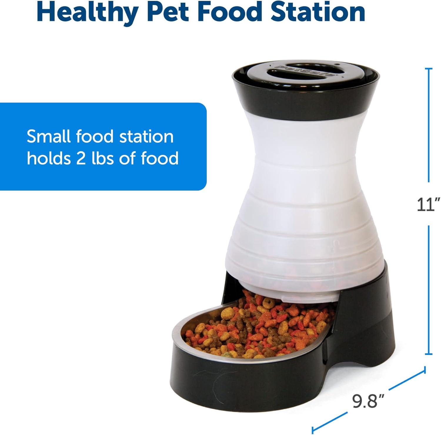 Small Automatic Stainless Steel Pet Feeder with Removable Bowl