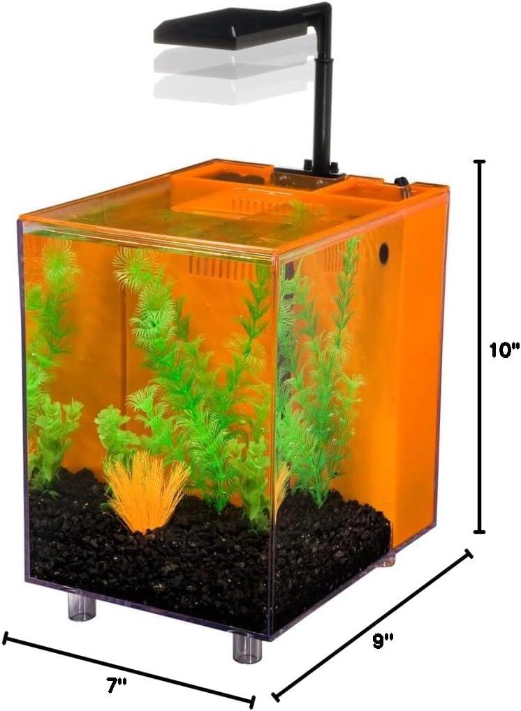 Black Plastic 2 Gallon Desktop Aquarium with LED Light