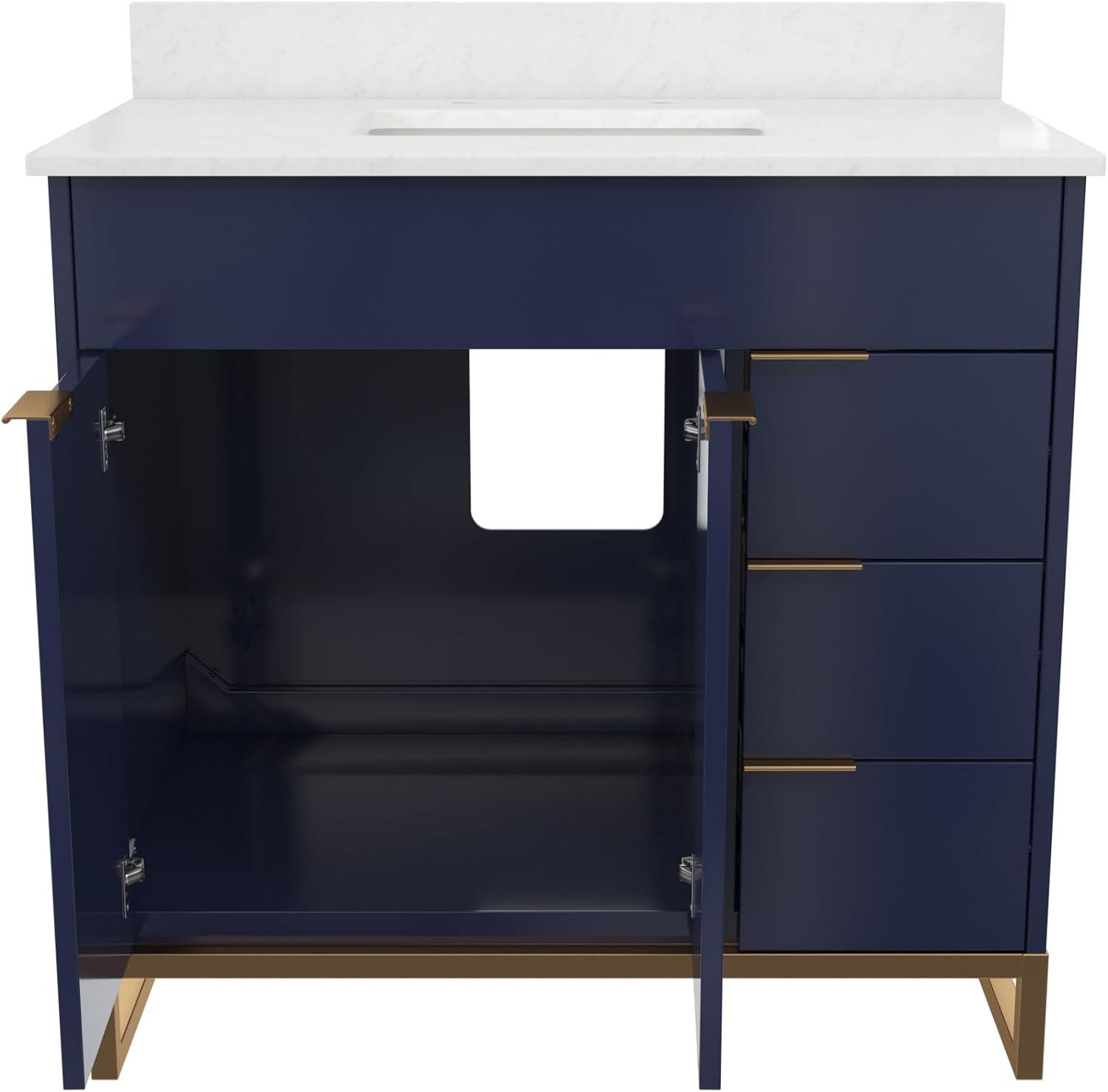 CosmoLiving by Cosmopolitan Leona 24” Bathroom Vanity