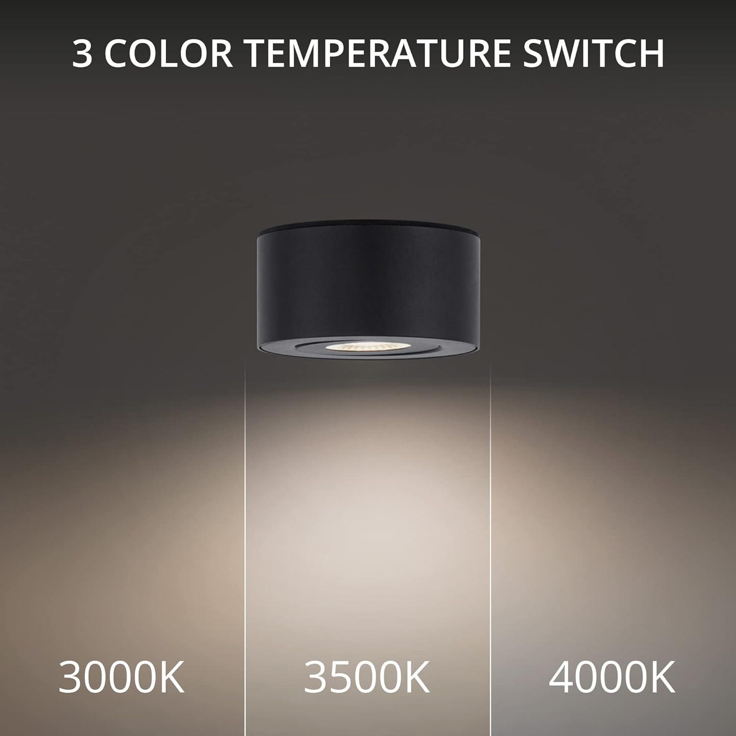 Peek LED Flush Mount