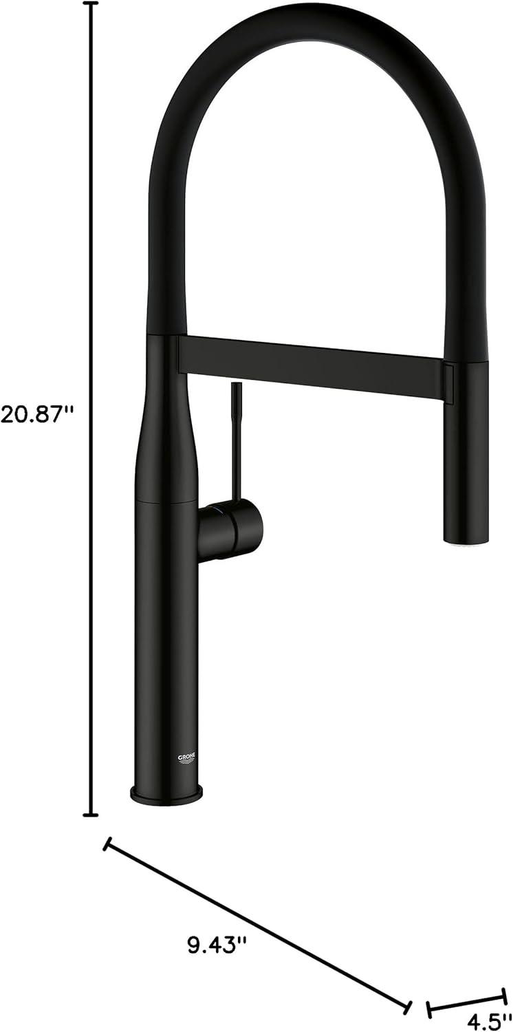 Essence New Single Handle Kitchen Faucet with SilkMove® and with Accessories