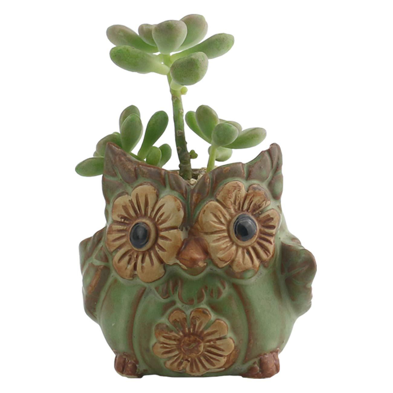 Ogrmar 6Pack Owl Plant Window Boxes Cute Owl Flower Pot/Modern Ceramic Succulent Planter Pots/Tiny Flower Plant Containers Animal Decor