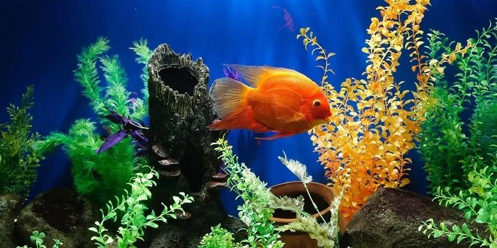 Artificial Dragon Stone Rock Formation, 12 Inches Tall, Aquarium Fish Ornament | Aquascape Large Resin Boulders Fish s, Reptile & Aquatic Habitat Safe