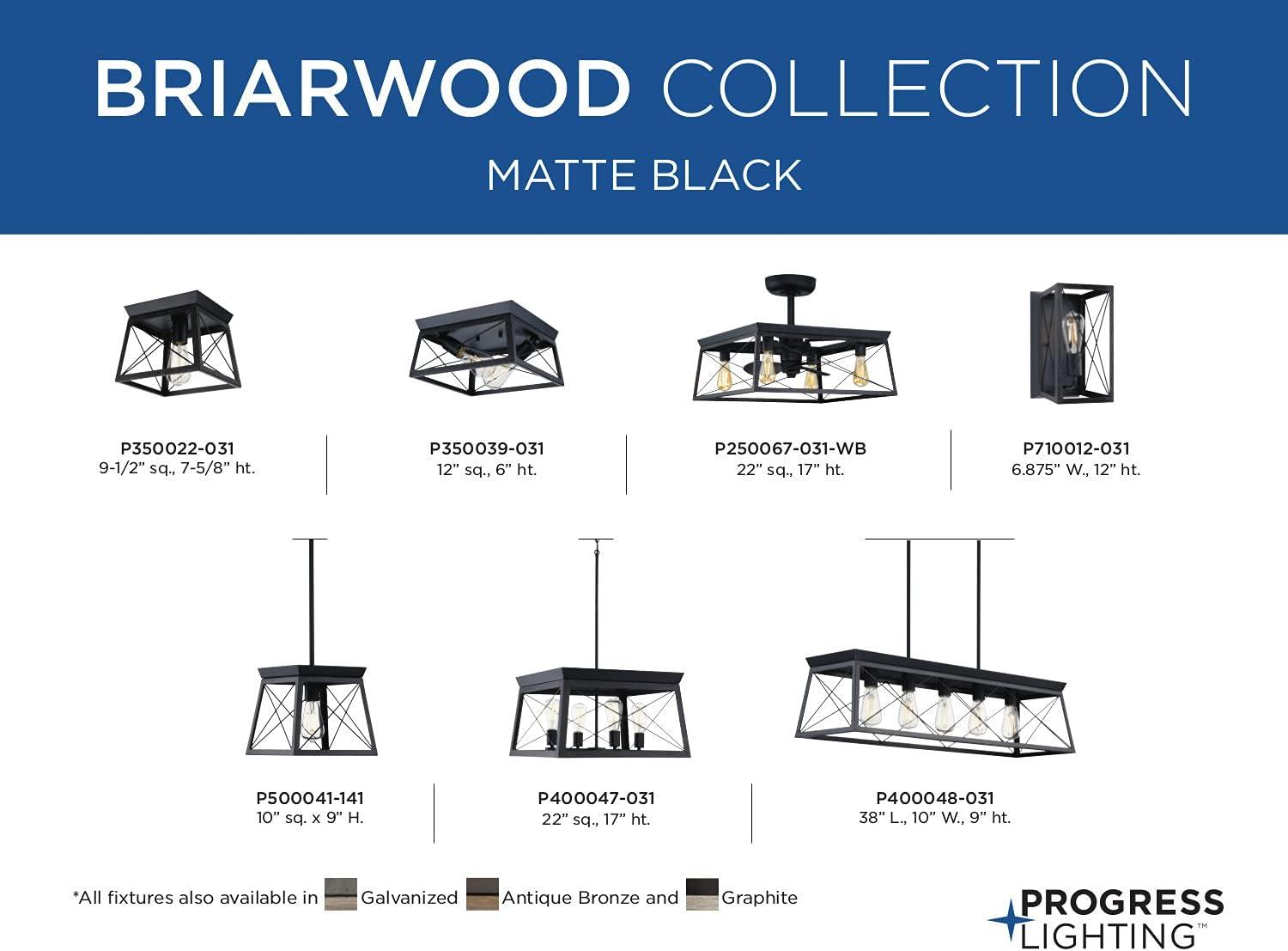 Briarwood Collection Two-Light Textured and Cerused Black Farmhouse Style Flush Mount Ceiling Light