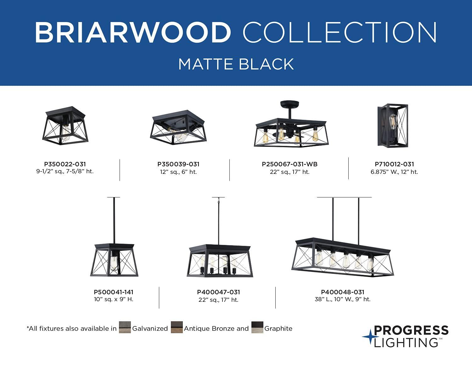 Progress Lighting, Briarwood, 2-Light Flush Mount, Textured Black, Faux-Painted Wood Enclosure