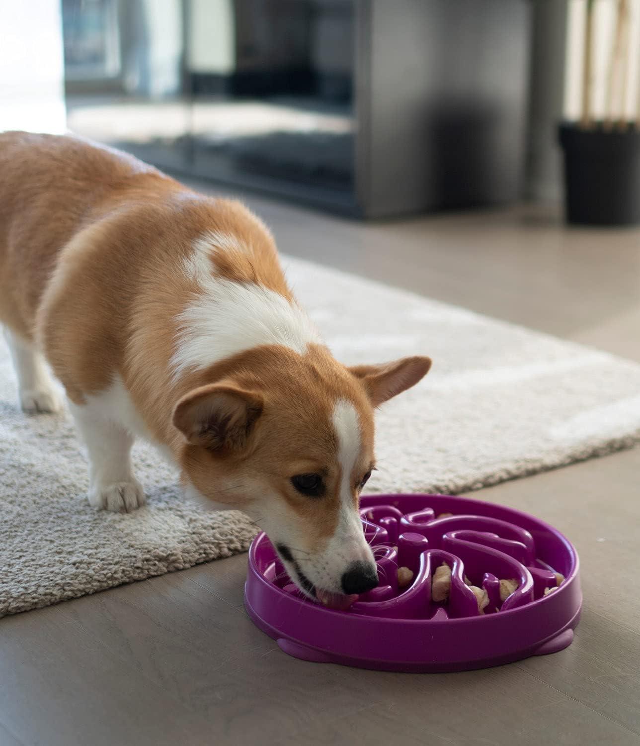 Purple Flower Design Slow Feeder Dog Bowl