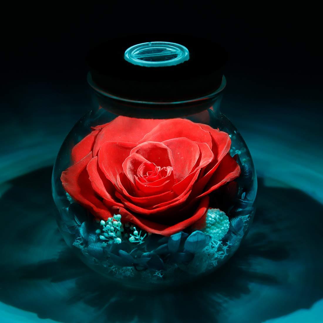 Preserved Real Roses with Colorful Mood Light Wishing Bottle, Eternal Rose，Never Withered Flowers, Table Decor,Christmas Anniversary Valentine's, Red 4.3inch, 1pcs
