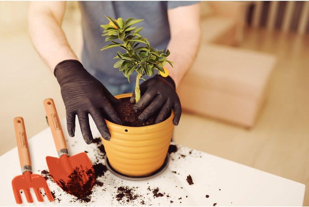 Tramontina 3 Piece Garden Set, Wood Handles, Plastic Packaging