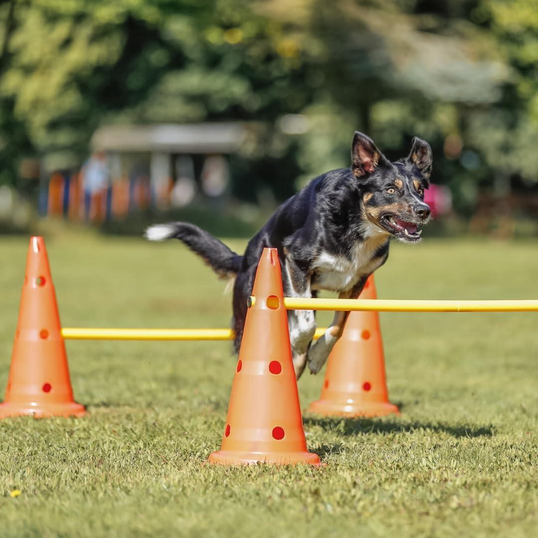 Adjustable Orange and Yellow Dog Agility Hurdle Cone Set