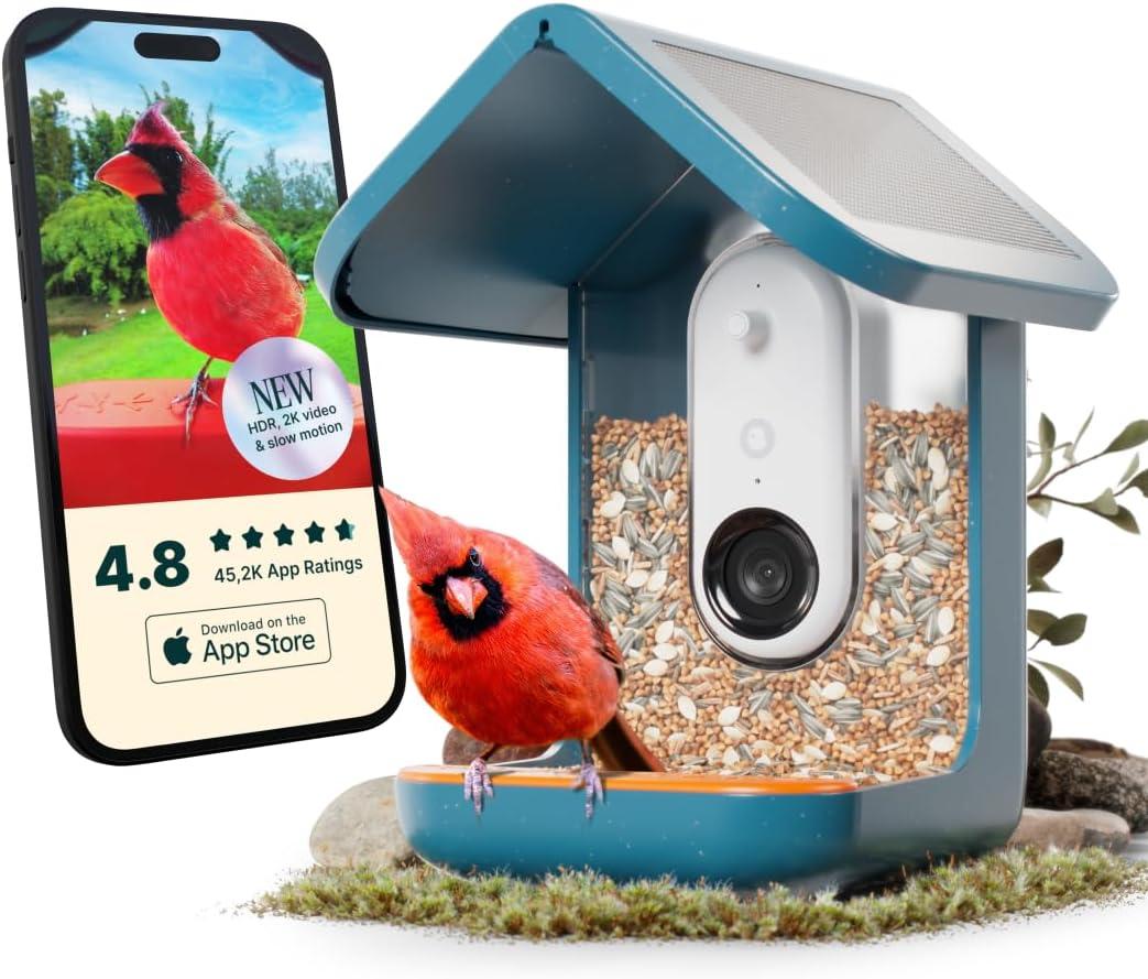 Bird Buddy Smart Bird Feeder with Camera and Solar Roof: Weather-Resistant, Hanging or Pole Mount