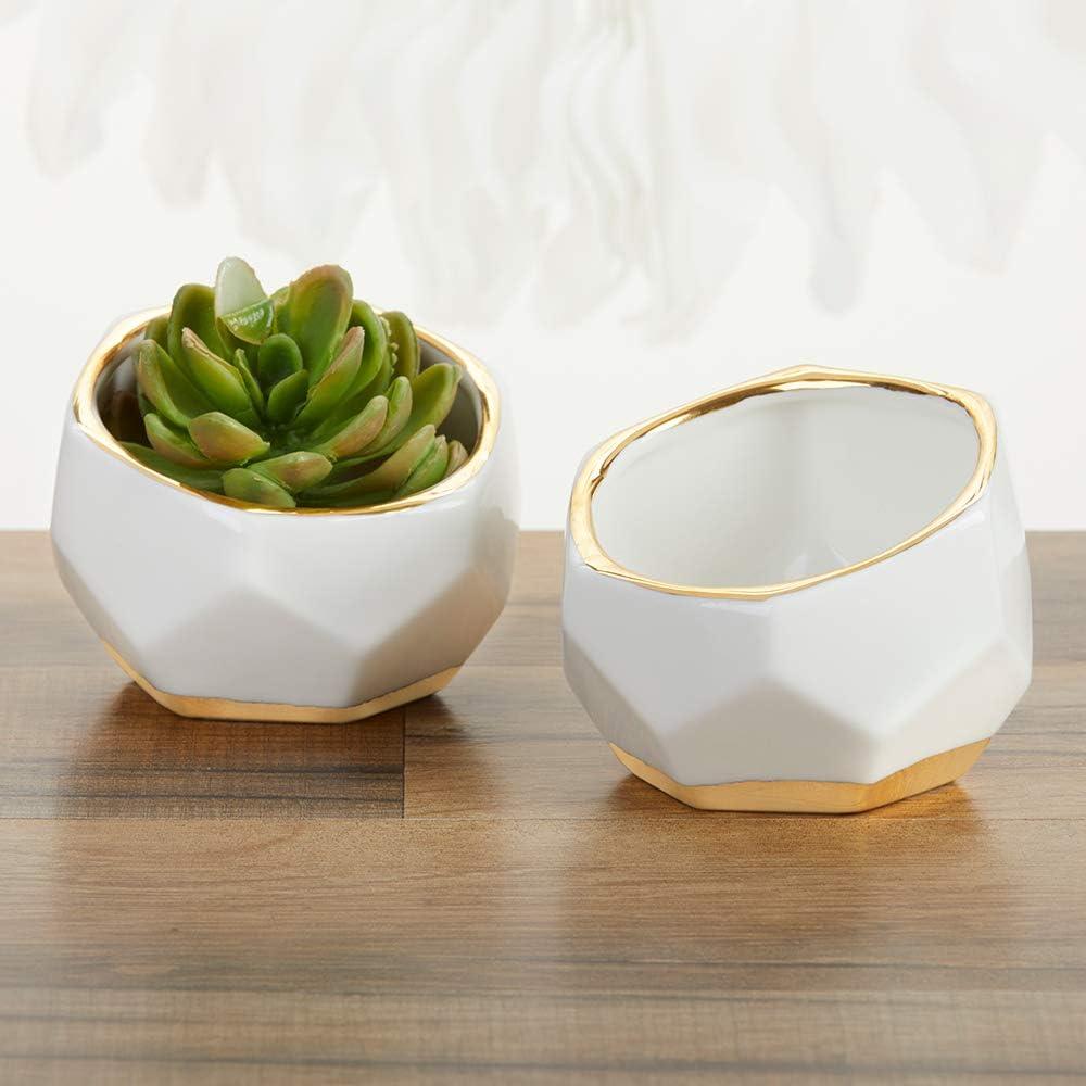 Kate Aspen's Geometric Ceramic Planters