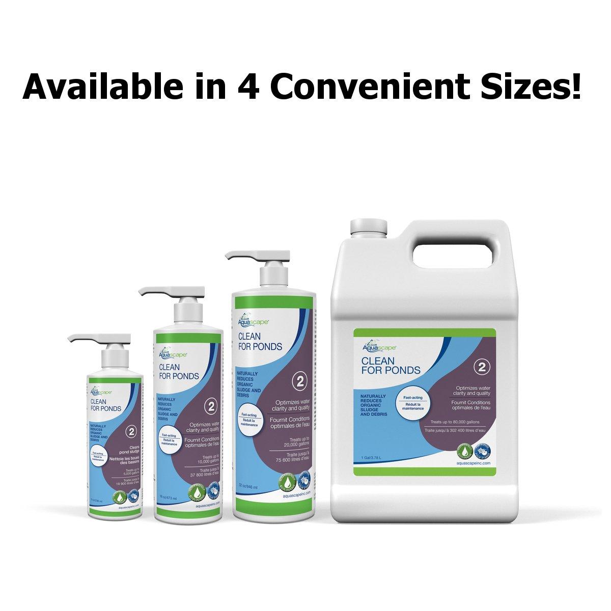Aquascape Clean for Fountains Cleaner & Reviews | Wayfair