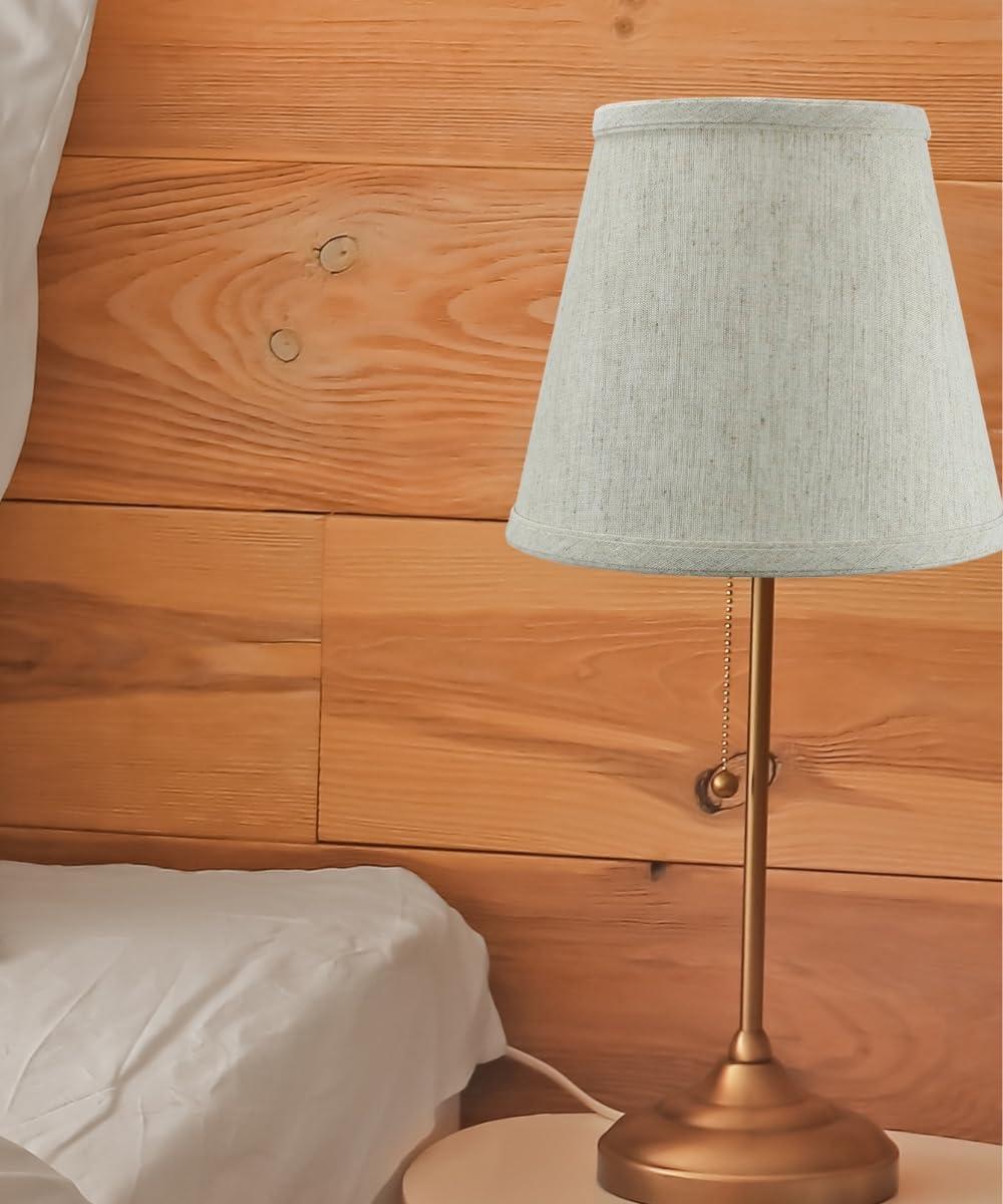 Home Concept Inc 7'' H x 8'' W Silk Empire Lamp Shade