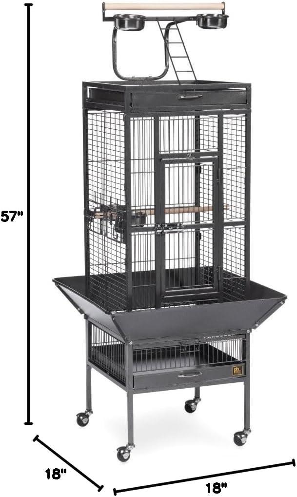 Black Wrought Iron Bird Cage with Play Top and Stand