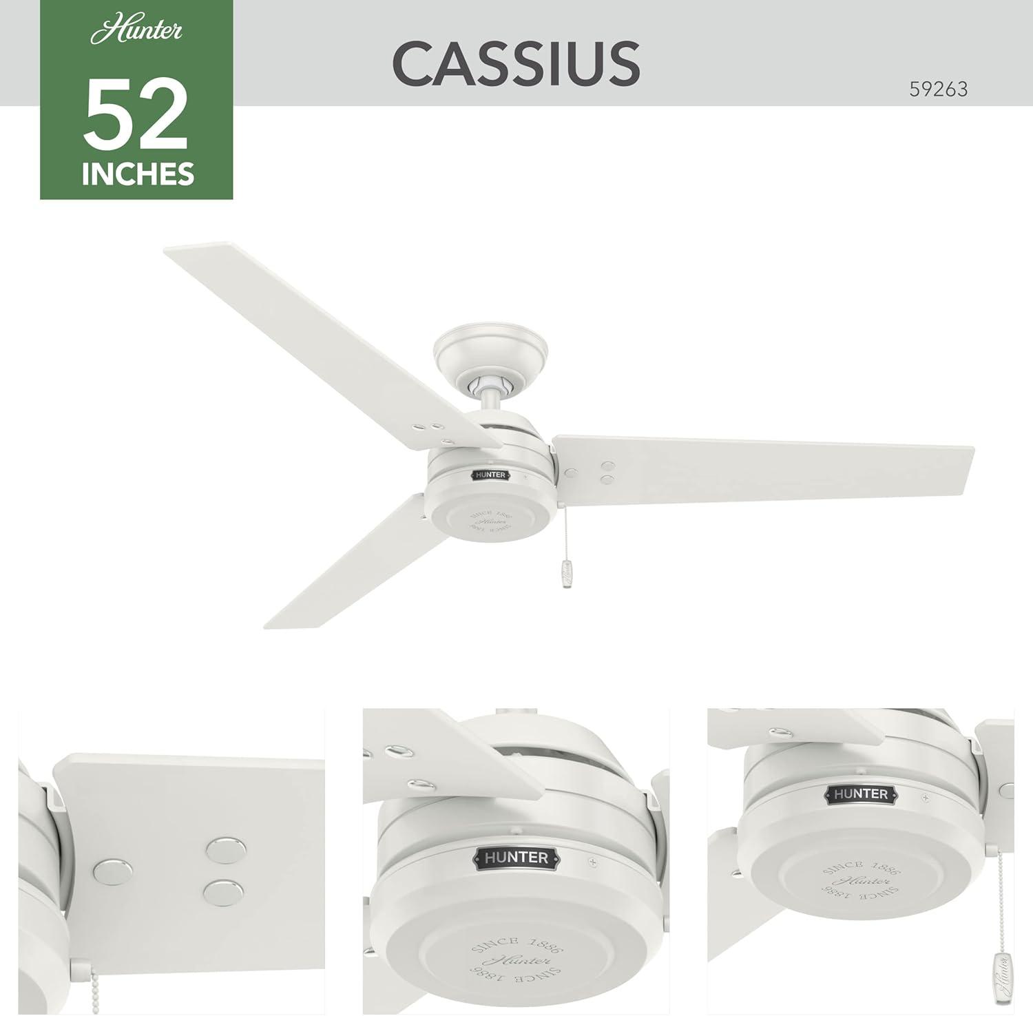 52" Cassius 3 - Blade Outdoor Standard Ceiling Fan with Pull Chain