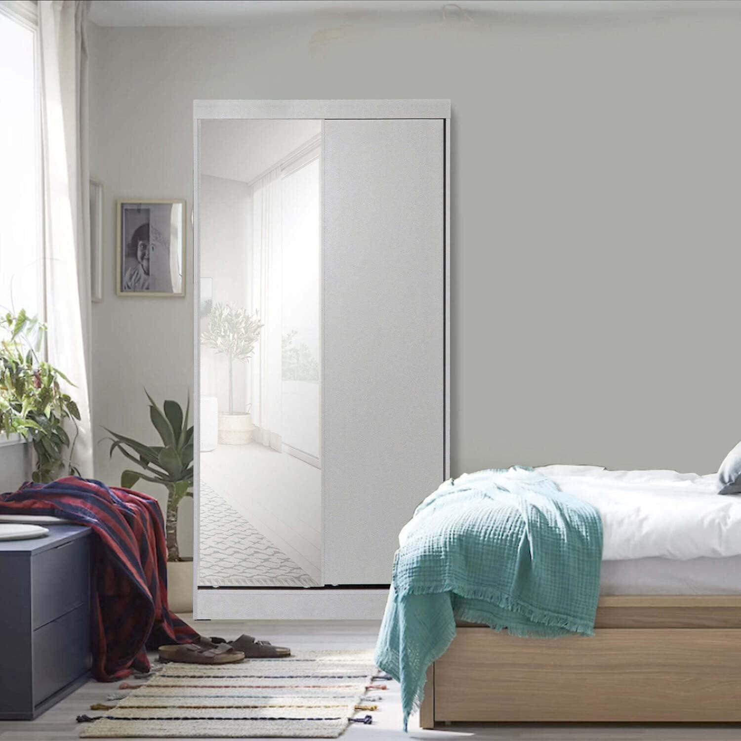 Transitional Light Gray Double Sliding Door Wardrobe with Mirror