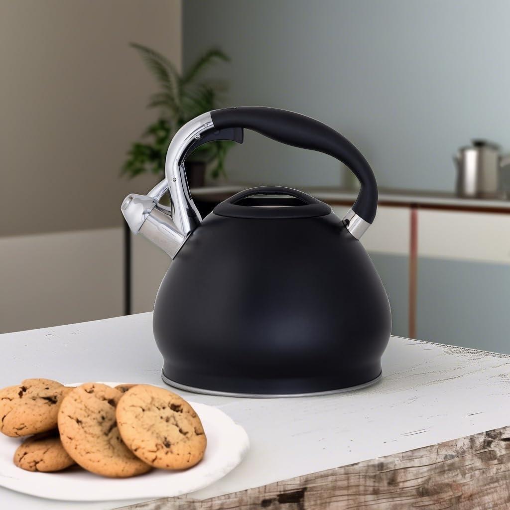 Depot Esh 10 Cup Stainless Steel Tea Kettle in Black