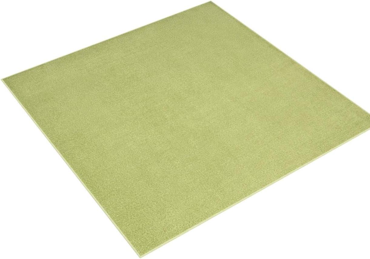 Nourison Essentials Solid Indoor/Outdoor Area Rug