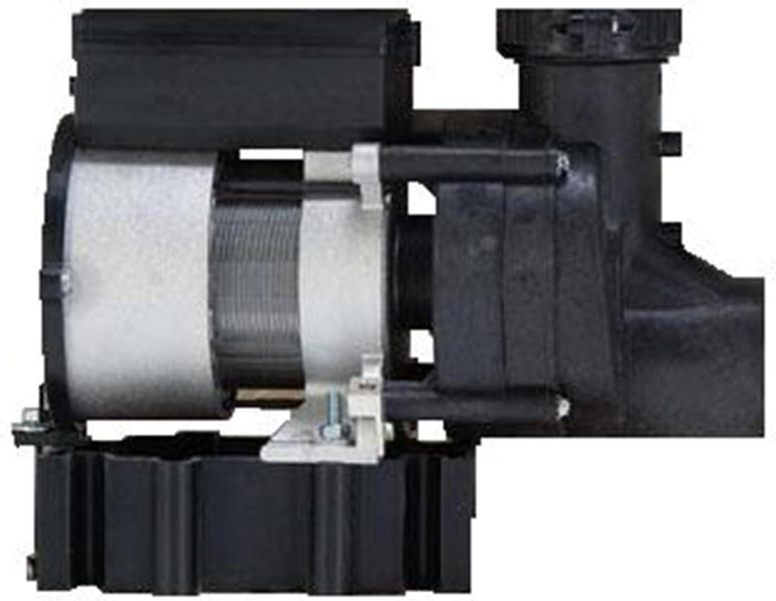 Heavy-Duty Black and Silver High-Performance Water Pump