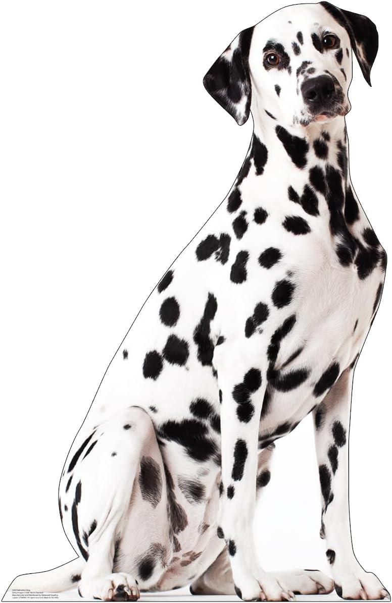 Life-Size Dalmatian Dog Cardboard Cutout Standee