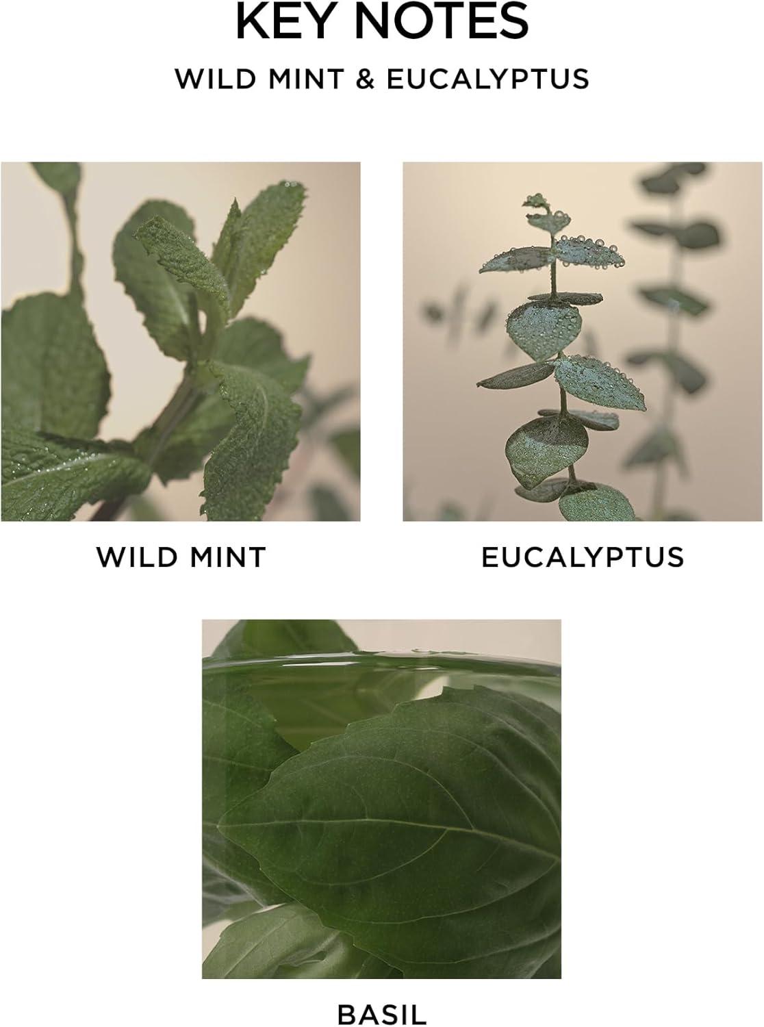 NEST Fragrances Wild Mint & Eucalyptus Reed Diffuser