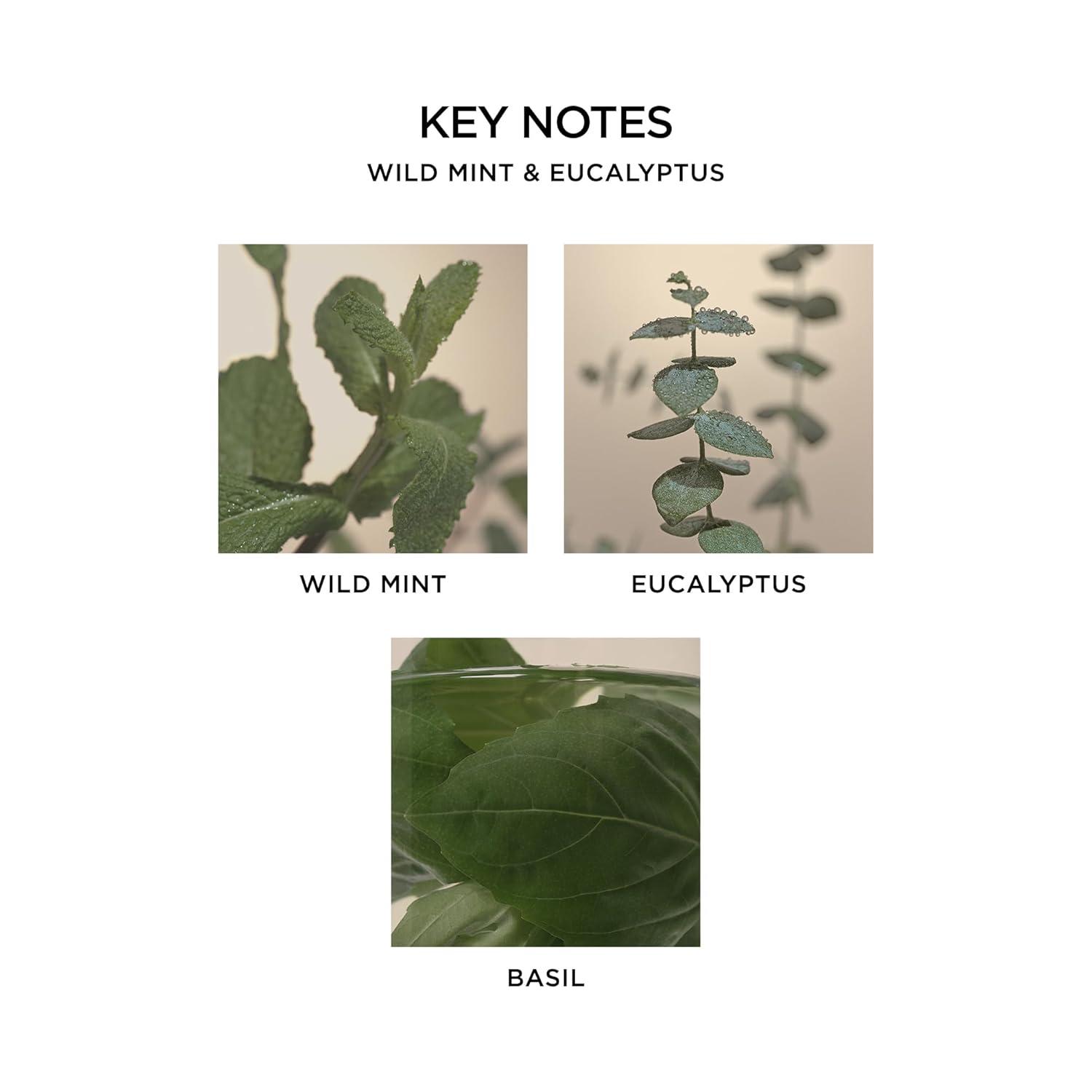 NEST Fragrances Wild Mint & Eucalyptus Reed Diffuser