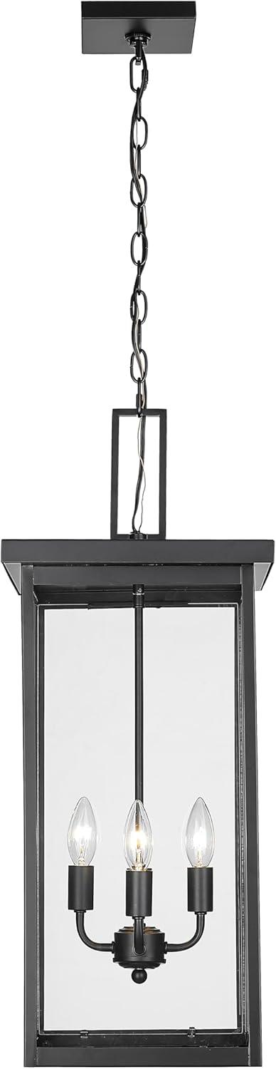 Barkeley Black Powder Coated Glass Outdoor Pendant Light