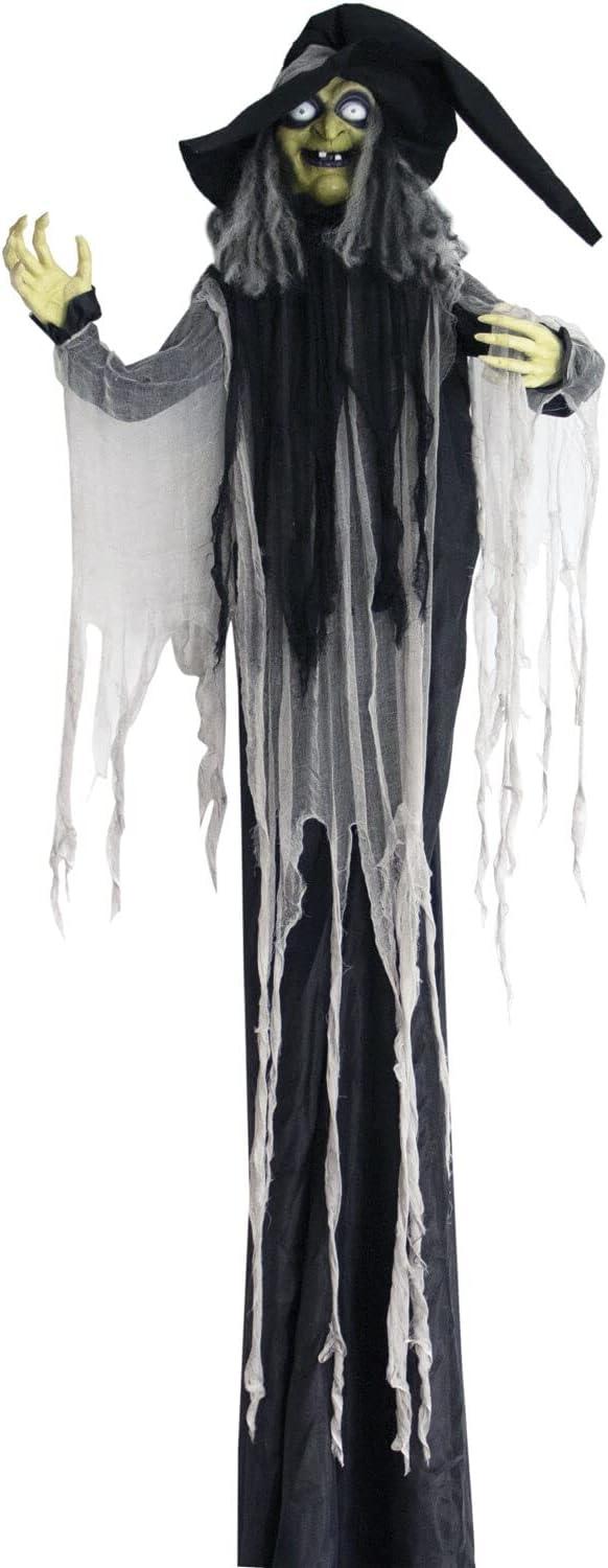 Haunted Hill Farm 9.5-Ft. Animatronic Witch, Indoor or Covered Outdoor Halloween Decoration, Light-up White Eyes, HHWITCH-16FLSA