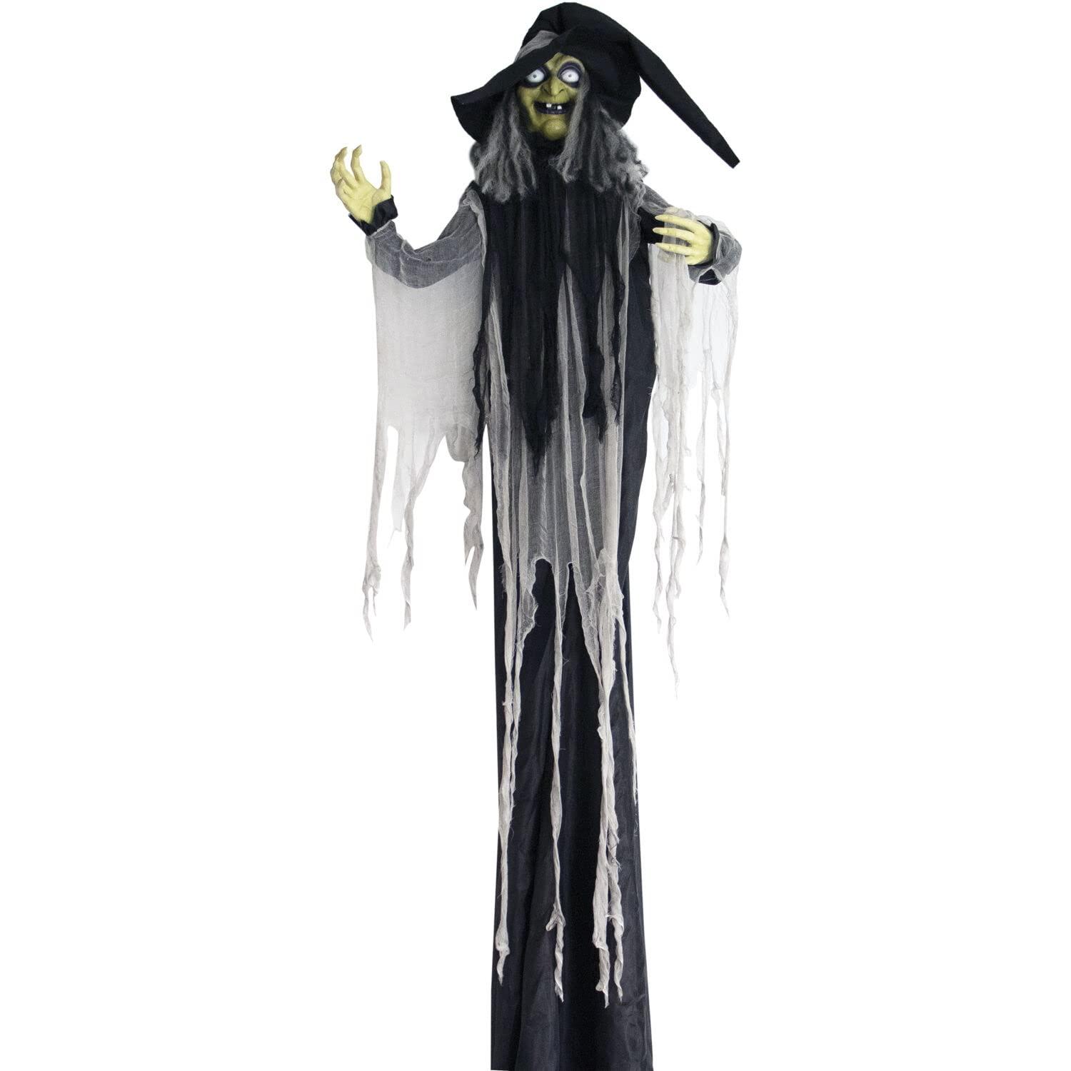 Haunted Hill Farm 9.5-Ft. Animatronic Witch, Indoor or Covered Outdoor Halloween Decoration, Light-up White Eyes, HHWITCH-16FLSA
