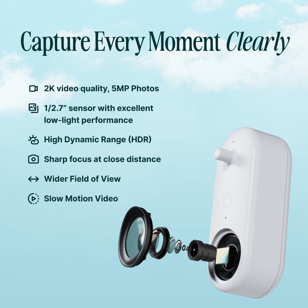 Bird Buddy Smart Bird Feeder with Camera and Solar Roof: Weather-Resistant, Hanging or Pole Mount