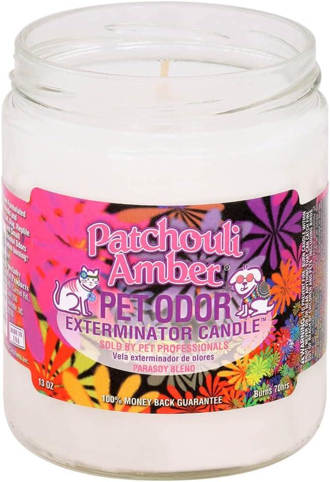 Patchouli Amber Pet Odor Exterminator 13 oz Jar Candle