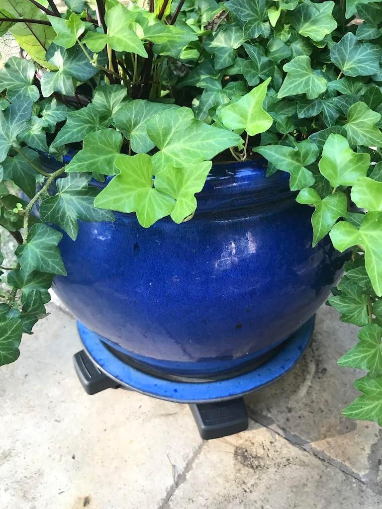 Plantstand Caddy Plant Stand