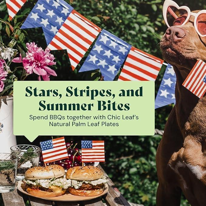 Chic Leaf Disposable Palm Leaf Trays, 17" x 12", 10 Pack, Compostable, Eco-Friendly Platters Charcuterie Board