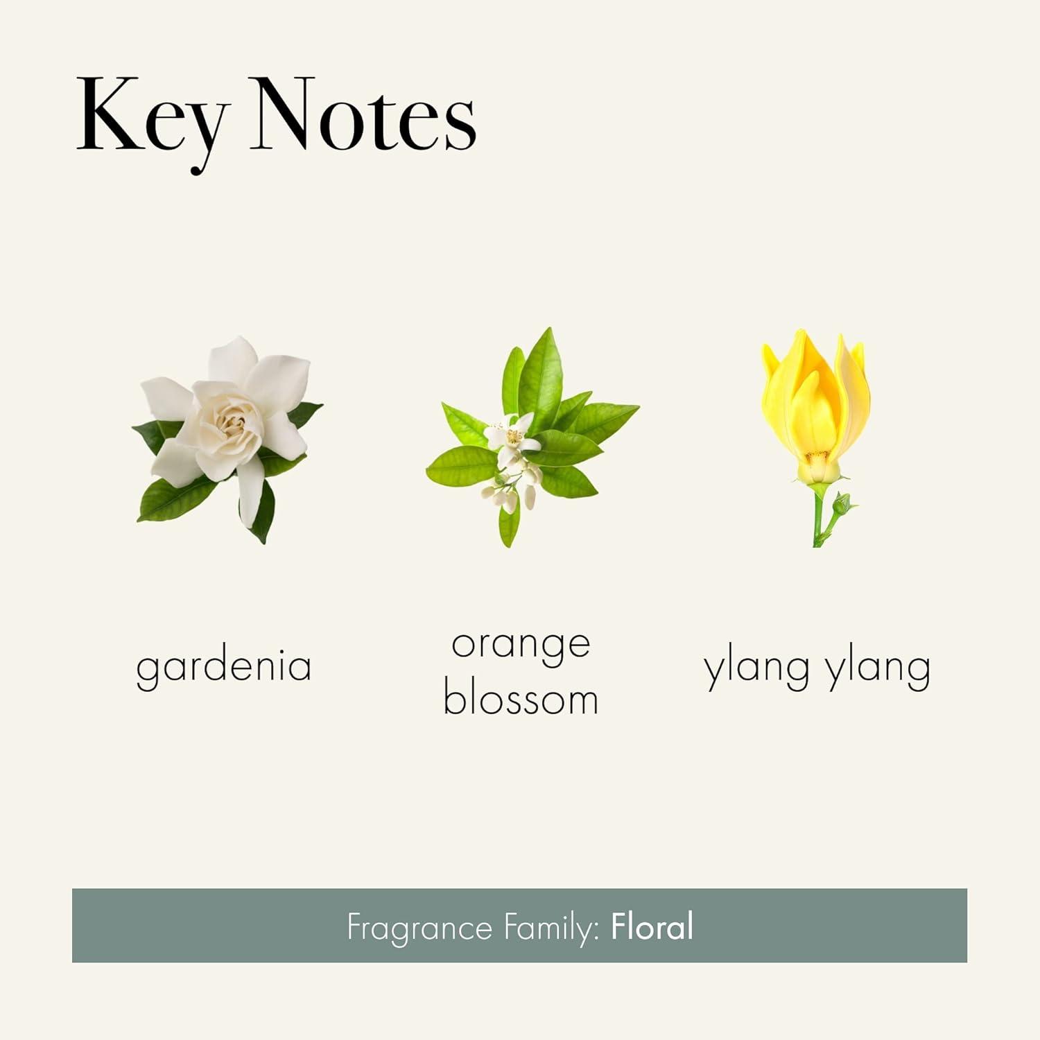 YBM Home Fresh Cut Gardenia Signature Reed Diffuser