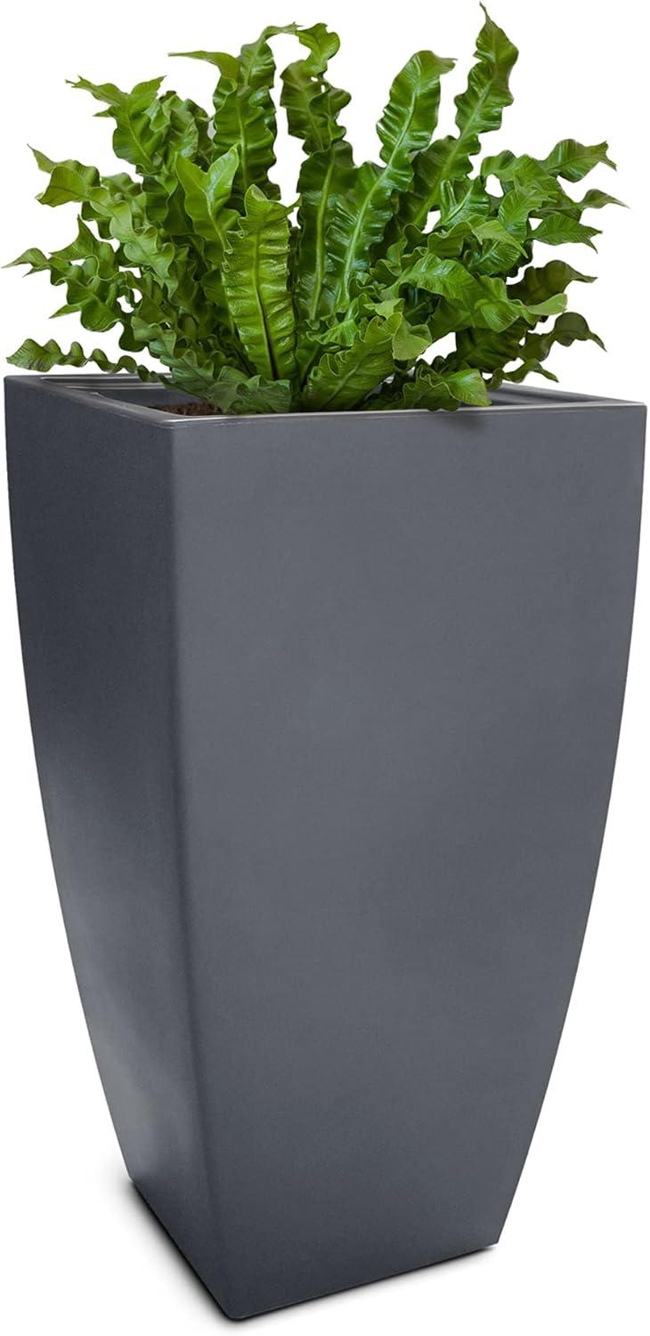 Mayne Inc. Vernamae  Resin Pot Planter With Water Reservoir