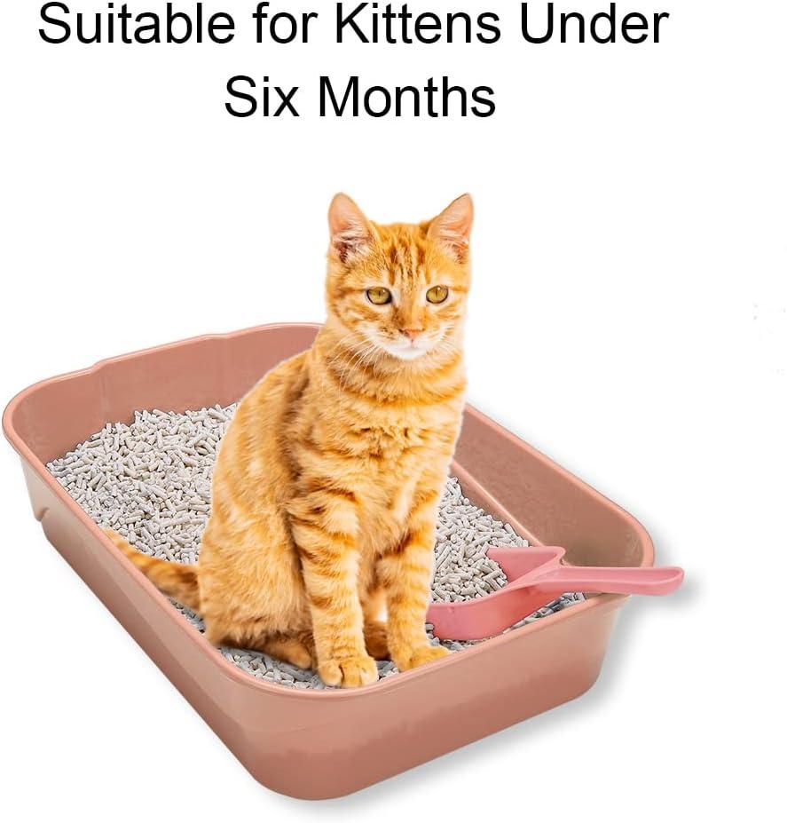 Kitty Litter Box Starter Kit - Small Cat Litter Pan Without Lid, Litter Mat, Scoop and Bowl for Kitten Within 3 Months