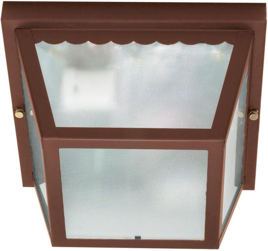 Old Bronze 9.25" Glass Indoor/Outdoor Flush Mount Light