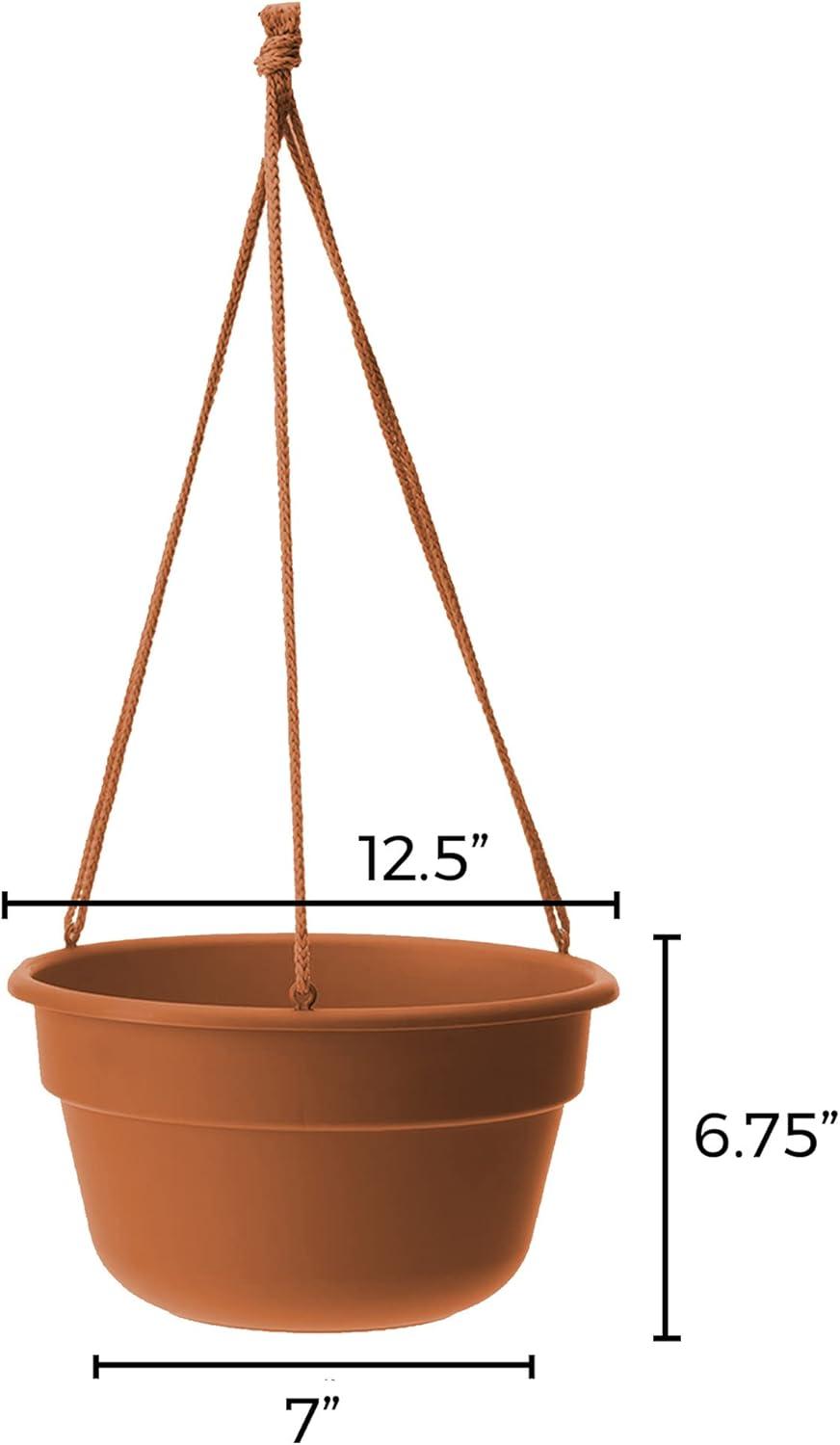 Bloem 6.8 in. H X 12.4 in. D Resin Dura Cotta Hanging Basket Terracotta Clay