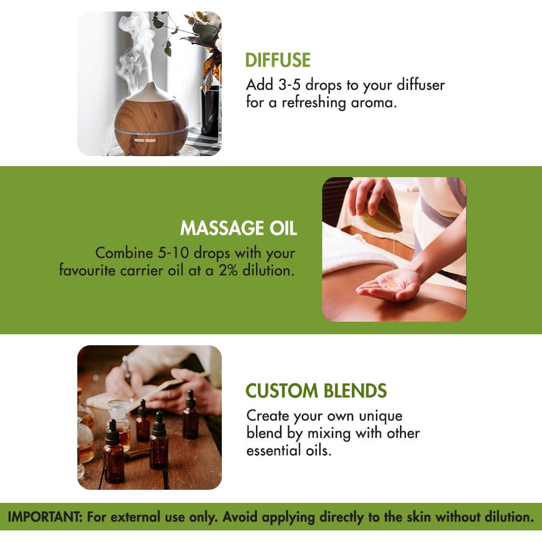 Majestic Pure Rosemary Essential Oil with Glass Dropper - 1 Fl Oz - 100% Pure and Natural Rosemary Oil - Premium Grade Essential Oils for Diffuser, Aromatherapy, Soap and Candle Making