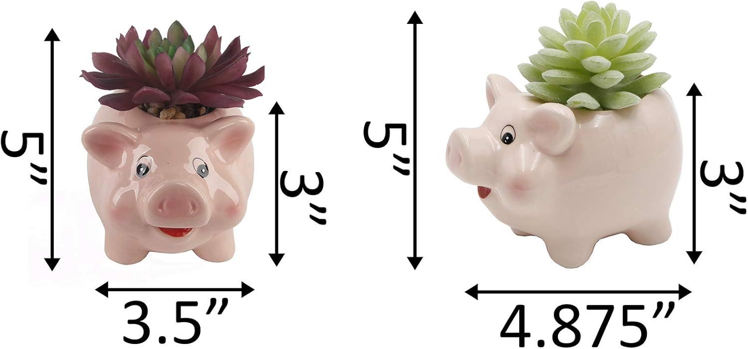 Flora Bunda Set of 2 Artificial Succulents in Pink Ceramic Pig Planters