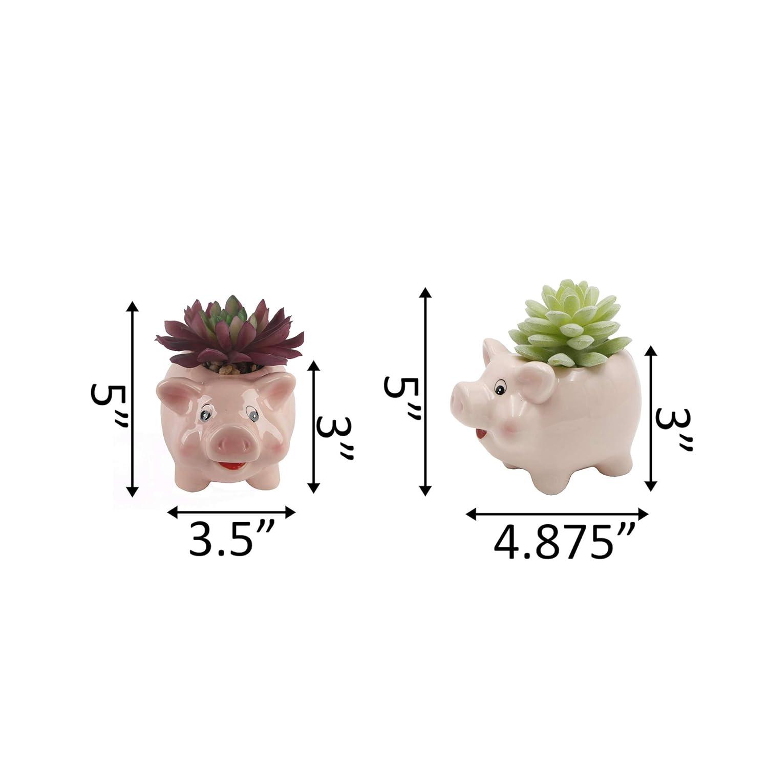 Flora Bunda Set of 2 Artificial Succulents in Pink Ceramic Pig Planters