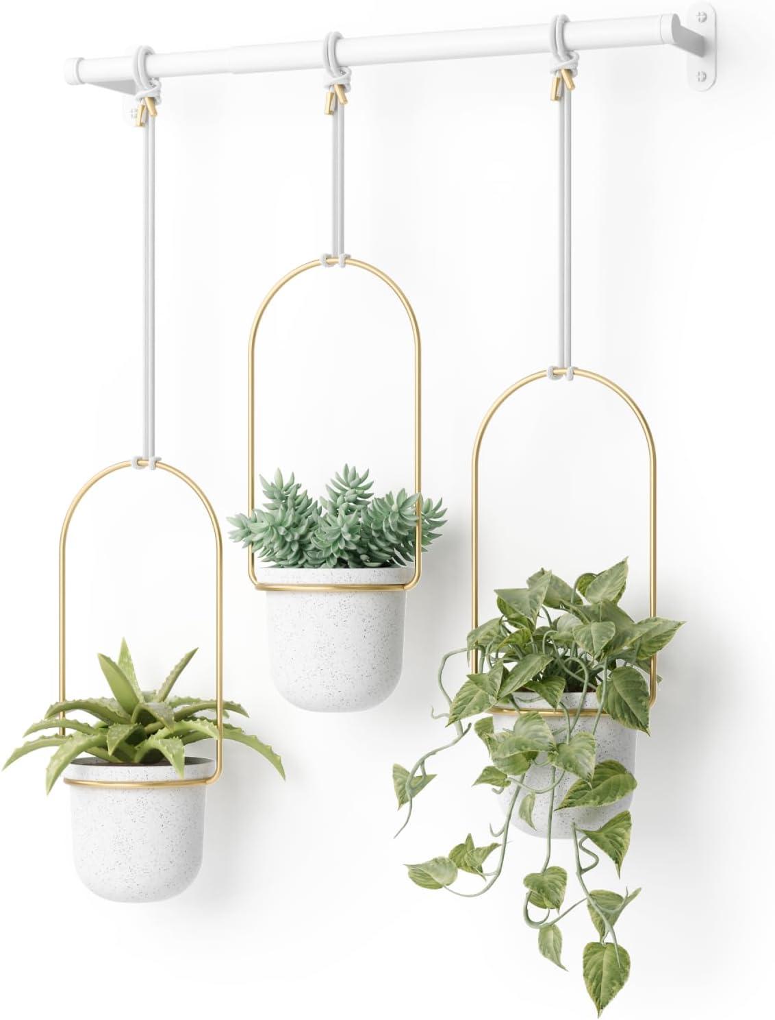 Umbra Triflora 3 Hanging Wall Planter