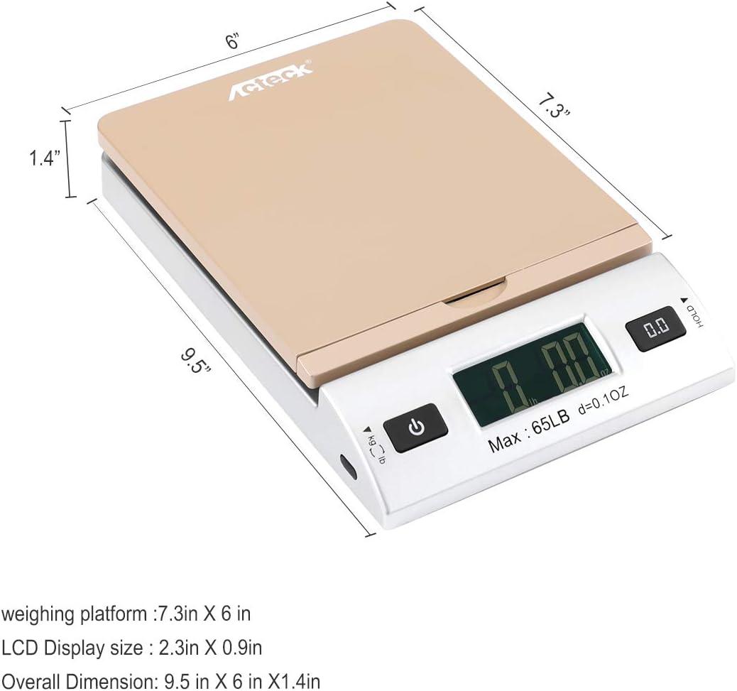 Gold Silver Digital Shipping Postal Scale with Batteries and AC Adapter