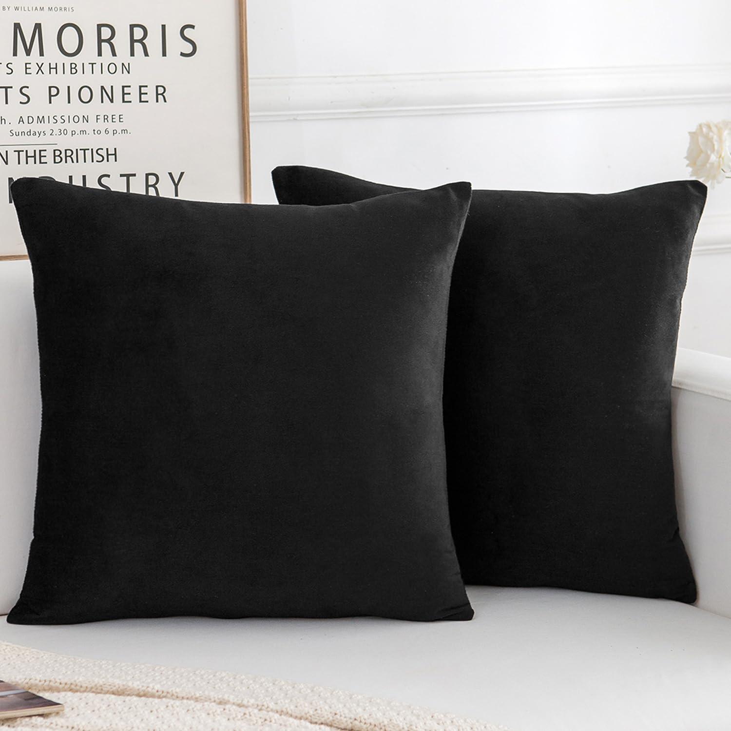 Beauty Acrylic Kody Throw Pillow (Set of 2)